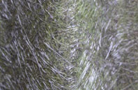 Glinton fibreglass roof work